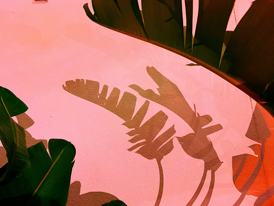 Professional presentation